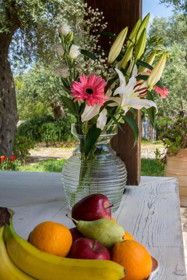 Villa Elaia Suites & Apartments No.4 Gaios Dış mekan fotoğraf
