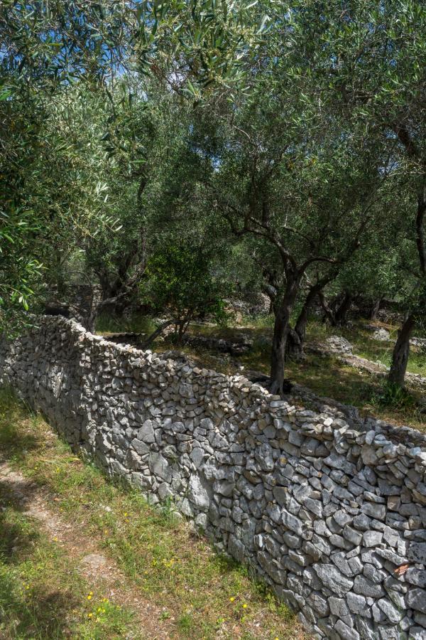 Villa Elaia Suites & Apartments No.4 Gaios Dış mekan fotoğraf