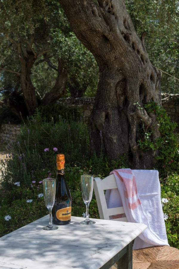 Villa Elaia Suites & Apartments No.4 Gaios Dış mekan fotoğraf